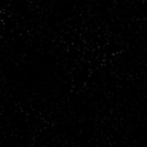 Meet your Posher, Ricky